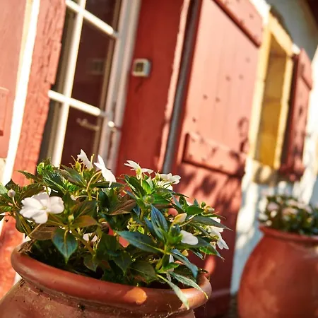 Bed & Breakfast Maison Dominxenea Sare