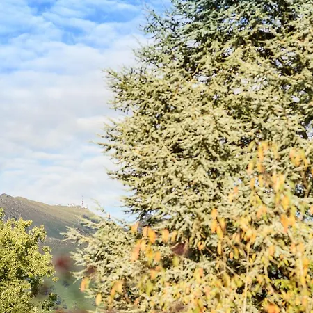 ベッド・アンド・ブレックファスト Maison Dominxenea