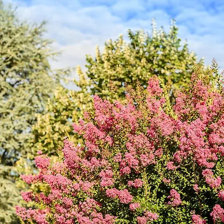 Maison Dominxenea ベッド・アンド・ブレックファスト