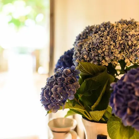 Maison Dominxenea Bed & Breakfast