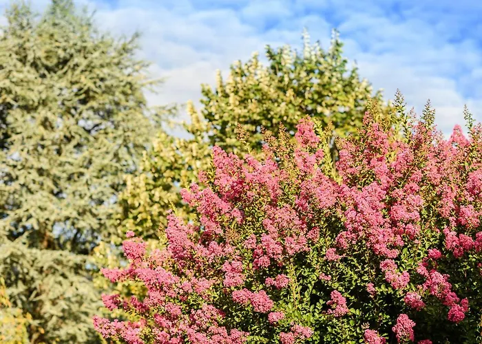 Maison Dominxenea Frühstückspension